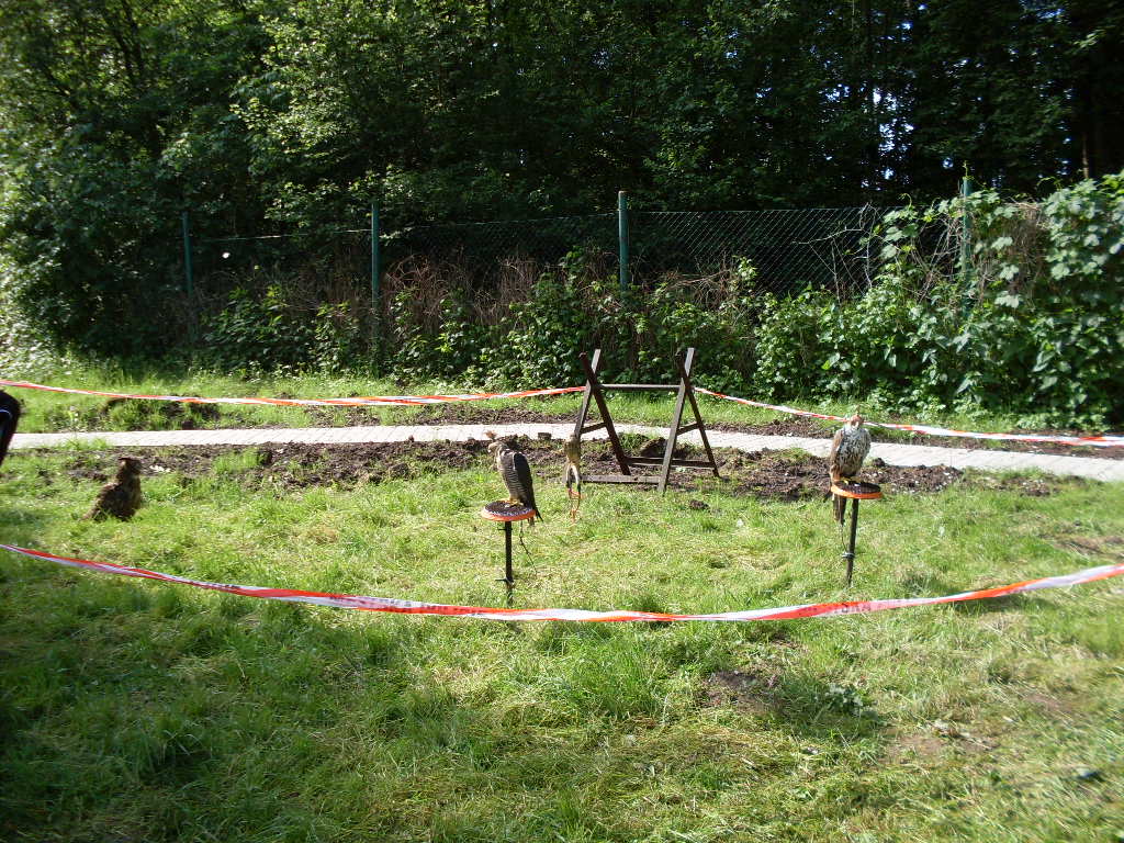 SDC11507.JPG