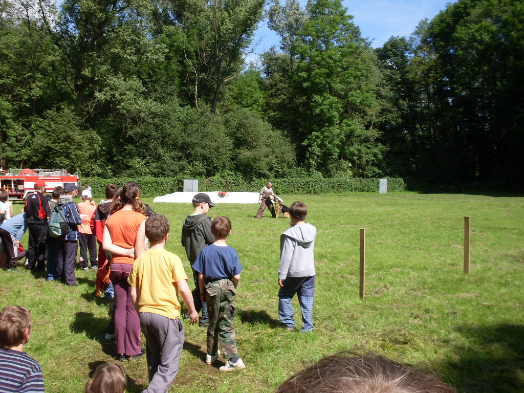 SDC11561.JPG